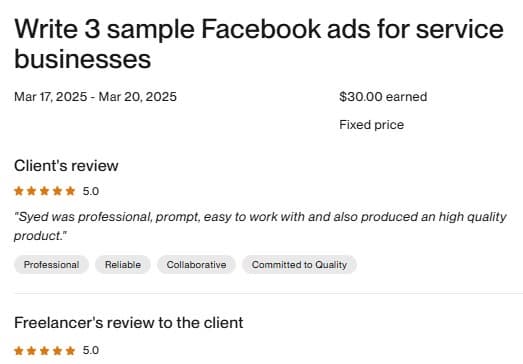 Facebook Ads Copywriting β Upwork review screenshot